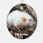 Siamese Dumbo Pet Rat im Wald Keramik Ornament (Links)