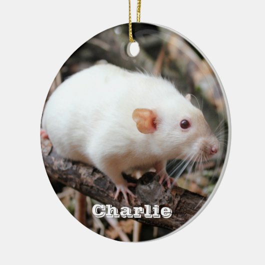 Siamese Dumbo Pet Rat im Wald Keramik Ornament (Links)