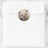 Siamese Extravagant Rat Stickers (Tasche)