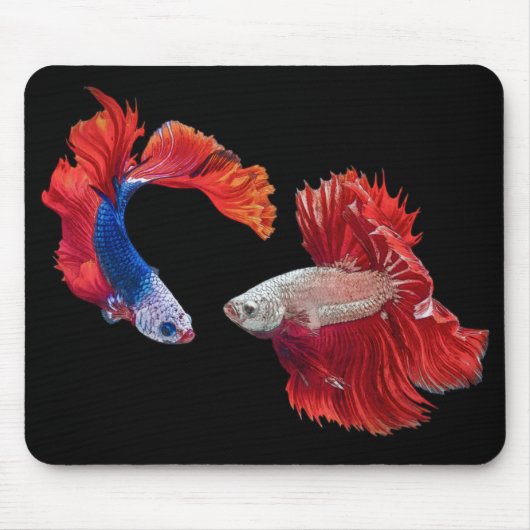 Siamese Fighting Fish Mousepad (Vorne)