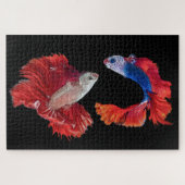 Siamese Fighting Fish Puzzle (Horizontal)