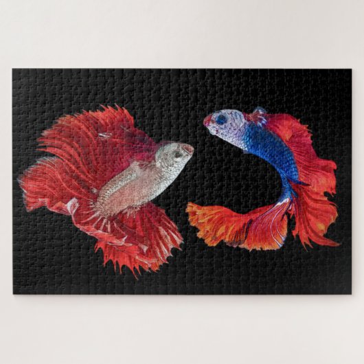 Siamese Fighting Fish Puzzle (Horizontal)
