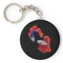 Siamese Fighting Fish