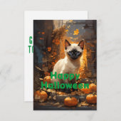 Siamese Halloween Magick Cat in Manhattan (Vorne/Hinten)