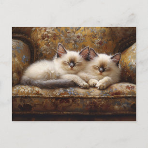 Siamese-Kätzchen schlummern auf einer Vintage-Couc Postkarte