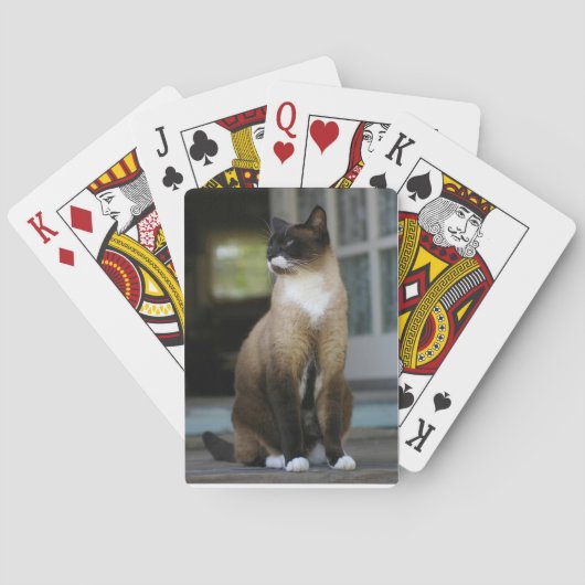 Siamese Katze auf der Veranda Spielkarten (Rückseite)