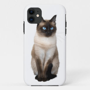 Siamese Katze auf Weiß Case-Mate iPhone Hülle