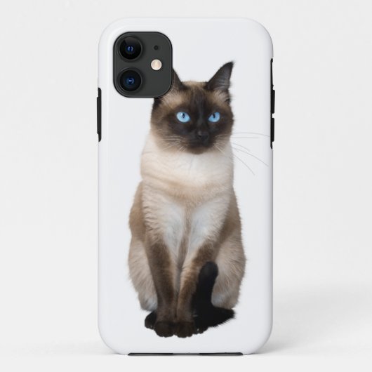 Siamese Katze auf Weiß Case-Mate iPhone Hülle (Rückseite)
