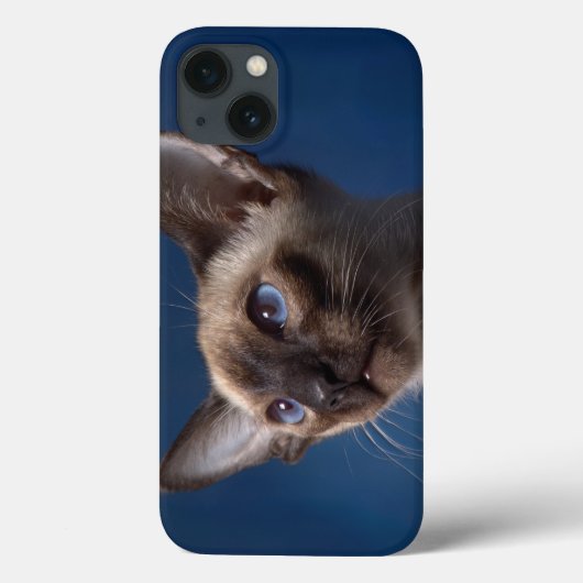 Siamese Katze mit blauen Augen Case-Mate iPhone Hülle (Rückseite)