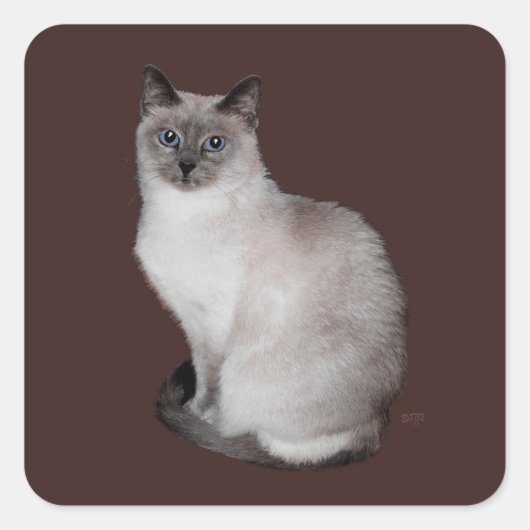 Siamese Katze mit blauen Augen Quadratischer Aufkleber (Vorderseite)