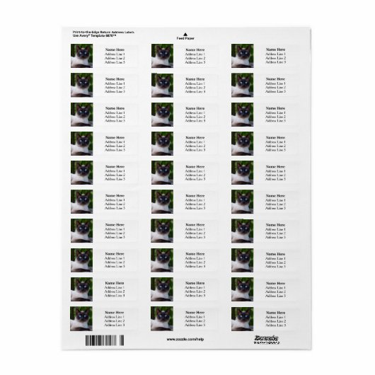 Siamese Katze mit Blue Eyes Rücksendeadresse (Vorne)