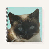 Siamese Katze mit Bright Blue Eyes Notebook Notizblock (Vorderseite)