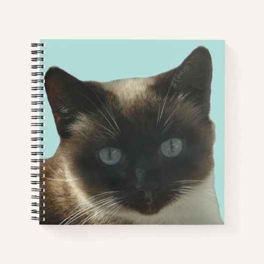 Siamese Katze mit Bright Blue Eyes Notebook Notizblock (Vorderseite)