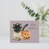 Siamese Katze mit Pirathut | Frohe Halloween Postkarte (Stehend Vorderseite)