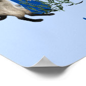 Siamese Katzenschmetterlingsmonogramm Anfangsname Poster (Ecke)