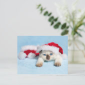 Siamese Kitten: Christmas Kitty Feiertagspostkarte (Stehend Vorderseite)