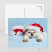 Siamese Kitten: Christmas Kitty Feiertagspostkarte (Vorne/Hinten)