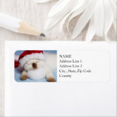 Siamese Kitten: Feierabend (Insitu)