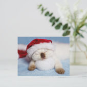 Siamese Kitten: Feierabend Feiertagspostkarte (Stehend Vorderseite)