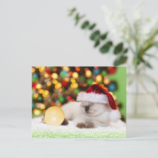 Siamese Kitten: Gold-Ornament Postkarte (Stehend Vorderseite)