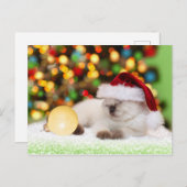 Siamese Kitten: Gold-Ornament Postkarte (Vorne/Hinten)