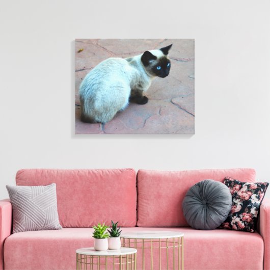 Siamese Kitten Leinwanddruck (Insitu (Wohnzimmer))