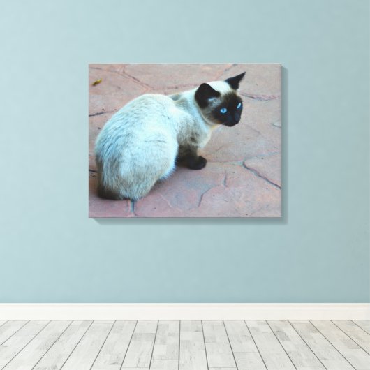 Siamese Kitten Leinwanddruck (Insitu (Holzboden))