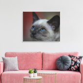 Siamese Kitten Leinwanddruck (Insitu (Wohnzimmer))
