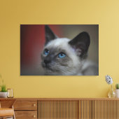 Siamese Kitten Leinwanddruck (Insitu (Wohnzimmer))