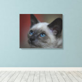 Siamese Kitten Leinwanddruck (Insitu (Holzboden))