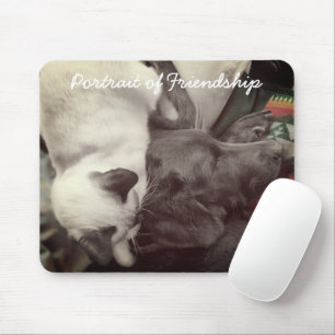 Siamese Kitten liegt liebevoll am Kopf von Labrado Mousepad