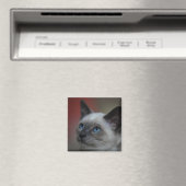 Siamese Kitten Magnet (In Situ (Geschirrspüler))