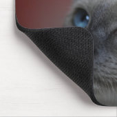 Siamese Kitten Mousepad (Ecke)