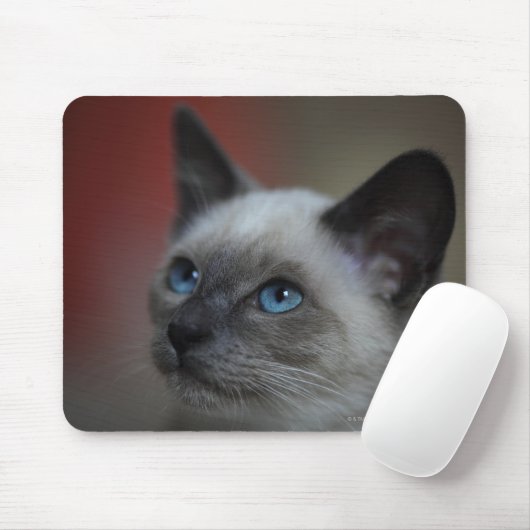 Siamese Kitten Mousepad (Mit Mouse)