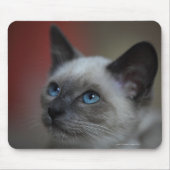 Siamese Kitten Mousepad (Vorne)