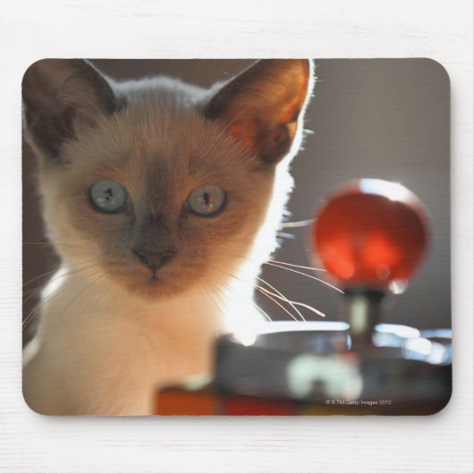 Siamese Kitten Mousepad (Vorne)