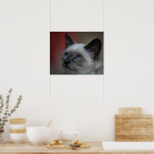 Siamese Kitten Poster (Küche)