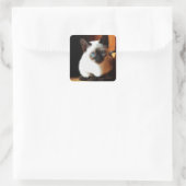 Siamese Kitten Quadratischer Aufkleber (Tasche)