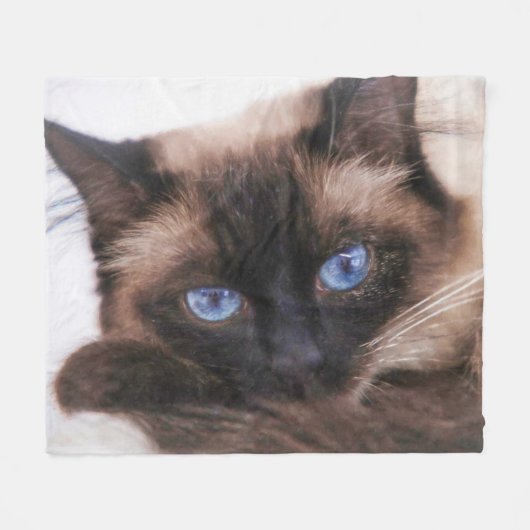 Siamese Kitten Sweetie Face Fleece Blanket (Vorderseite (Horizontal))