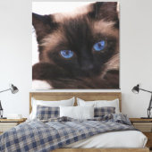 Siamese Kitten Sweetie Face Leinwanddruck (Insitu (Schlafzimmer))