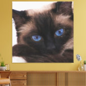 Siamese Kitten Sweetie Face Leinwanddruck (Insitu (Wohnzimmer))
