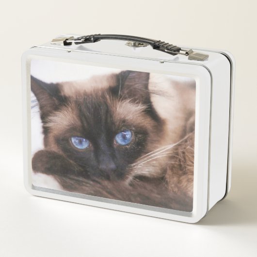 Siamese Kitten Sweetie Face Metall Brotdose (Rückseite)