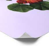 Siamese Kitten VS Ladybug Poster (Ecke)