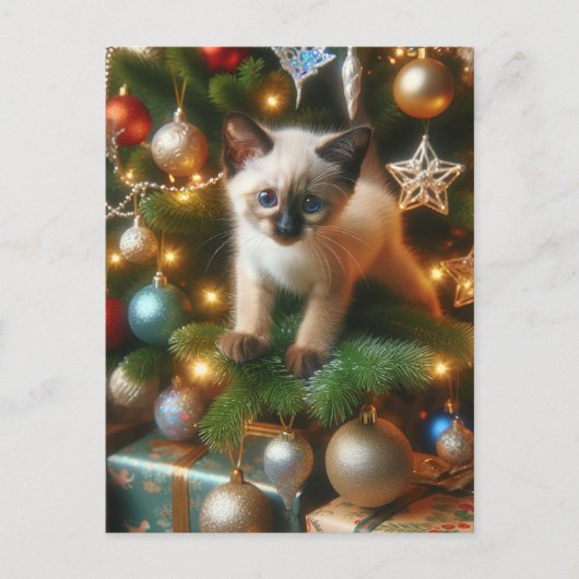 Siamese Kitten Weihnachten Postkarte (Vorderseite)