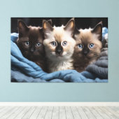 Siamese Kittens Canvas Print Picture 3 Leinwanddruck (Insitu (Holzboden))