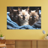 Siamese Kittens Canvas Print Picture 3 Leinwanddruck (Insitu (Wohnzimmer))
