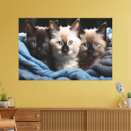 Siamese Kittens Canvas Print Picture 3 Leinwanddruck