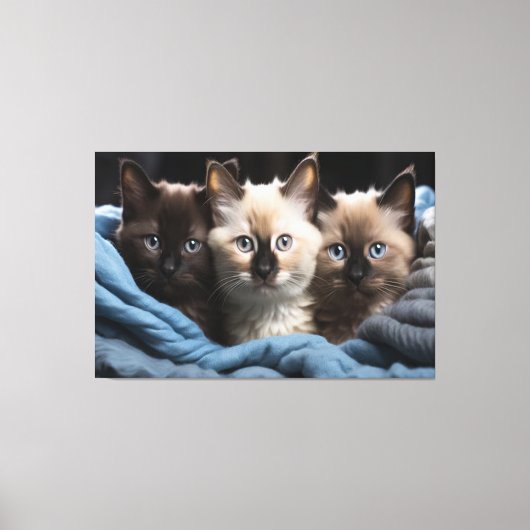 Siamese Kittens Canvas Print Picture 3 Leinwanddruck (Vorderseite)