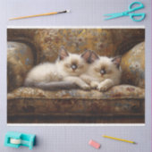 Siamese Kittens Napping Vintage Couch Decoupage Seidenpapier (Basteln)