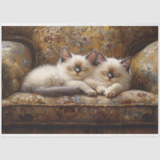 Siamese Kittens Napping Vintage Couch Decoupage Seidenpapier